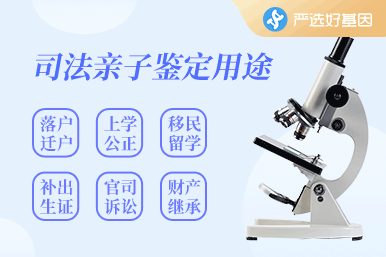 上戶口親子鑒定