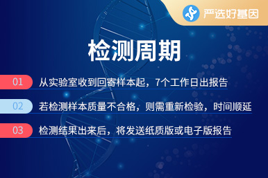 2-型糖尿病易感基因